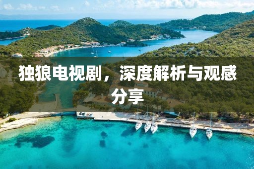 獨狼電視劇，深度解析與觀感分享
