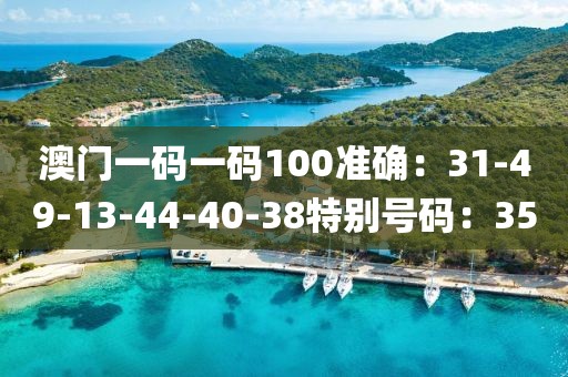 澳門一碼一碼100準確：31-49-13-44-40-38特別號碼：35