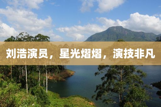劉浩演員，星光熠熠，演技非凡