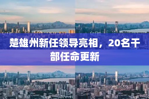 楚雄州新任領導亮相，20名干部任命更新
