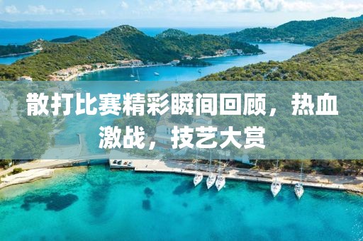 散打比賽精彩瞬間回顧，熱血激戰，技藝大賞