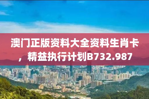 澳門正版資料大全資料生肖卡，精益執行計劃B732.987