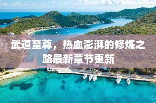 武道至尊，熱血澎湃的修煉之路最新章節更新