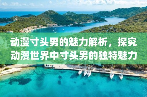 動漫寸頭男的魅力解析，探究動漫世界中寸頭男的獨特魅力