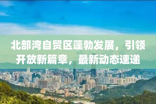 北部灣自貿區蓬勃發展，引領開放新篇章，最新動態速遞