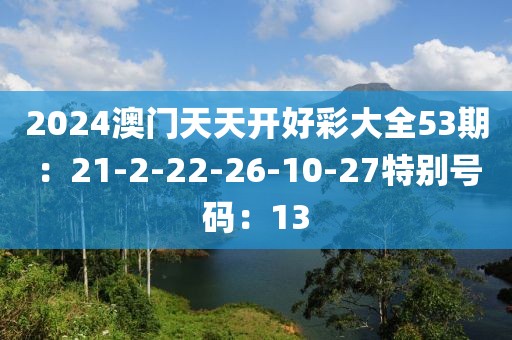 2024澳門天天開好彩大全53期：21-2-22-26-10-27特別號碼：13