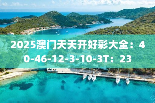 2025澳門天天開好彩大全：40-46-12-3-10-3T：23