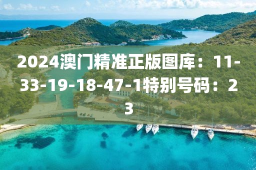 2024澳門精準正版圖庫：11-33-19-18-47-1特別號碼：23