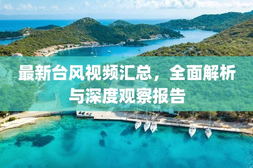 最新臺風視頻匯總，全面解析與深度觀察報告