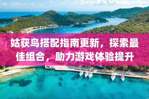 姑獲鳥搭配指南更新，探索最佳組合，助力游戲體驗提升