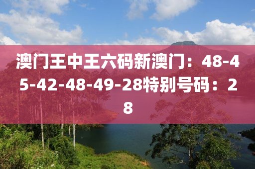 澳門王中王六碼新澳門：48-45-42-48-49-28特別號碼：28
