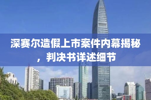 深賽爾造假上市案件內幕揭秘，判決書詳述細節