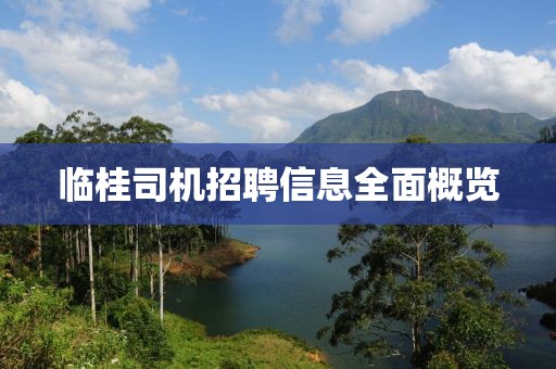 臨桂司機招聘信息全面概覽