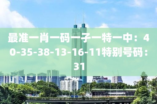 最準一肖一碼一孑一特一中：40-35-38-13-16-11特別號碼：31