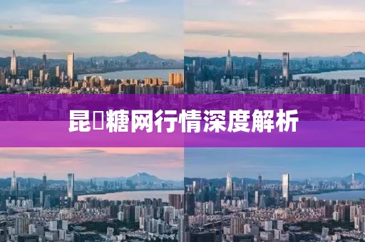 昆榶糖網行情深度解析