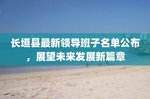 長垣縣最新領導班子名單公布，展望未來發展新篇章