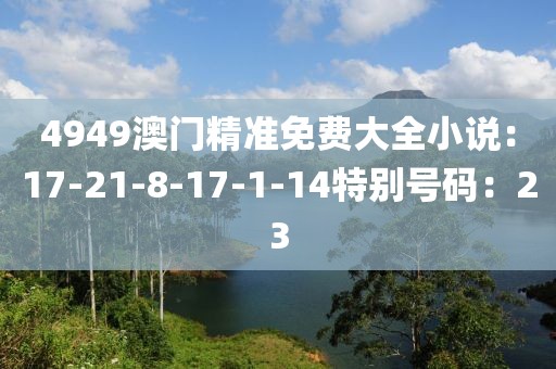 4949澳門精準免費大全小說：17-21-8-17-1-14特別號碼：23