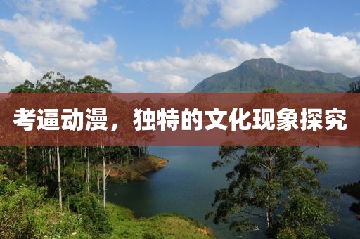 考逼動漫，獨特的文化現象探究