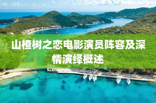 山楂樹之戀電影演員陣容及深情演繹概述