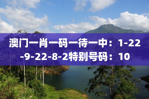 澳門一肖一碼一待一中：1-22-9-22-8-2特別號碼：10