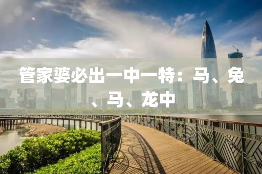 管家婆必出一中一特：馬、兔、馬、龍中