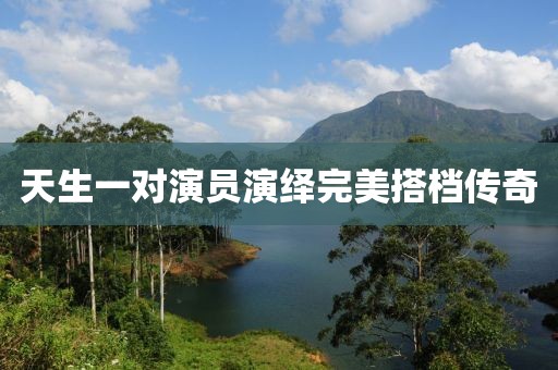 天生一對演員演繹完美搭檔傳奇