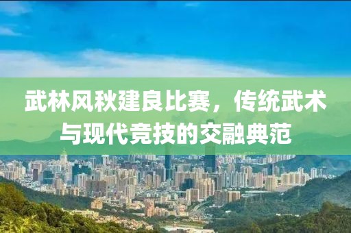 武林風秋建良比賽，傳統武術與現代競技的交融典范