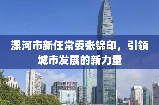 漯河市新任常委張錦印，引領城市發展的新力量