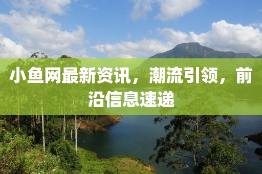 小魚網最新資訊，潮流引領，前沿信息速遞