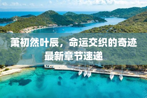 蕭初然葉辰，命運交織的奇跡最新章節速遞