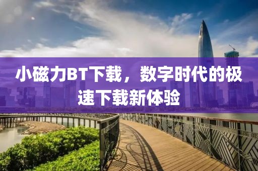 小磁力BT下載，數字時代的極速下載新體驗
