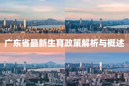 廣東省最新生育政策解析與概述
