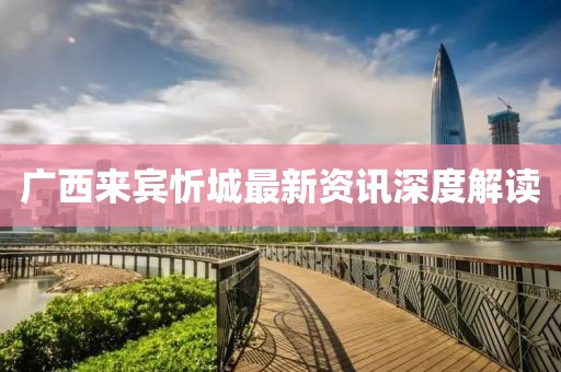 廣西來賓忻城最新資訊深度解讀