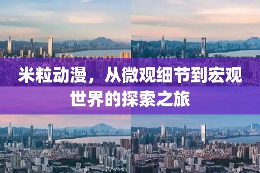 米粒動漫，從微觀細節到宏觀世界的探索之旅
