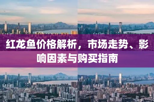 紅龍魚價格解析，市場走勢、影響因素與購買指南