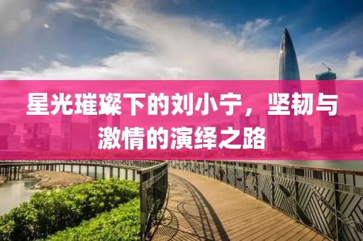星光璀璨下的劉小寧，堅韌與激情的演繹之路