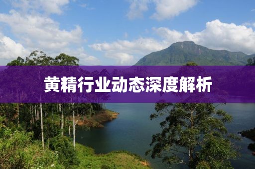 黃精行業動態深度解析