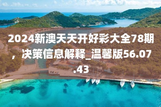 2024新澳天天開好彩大全78期，決策信息解釋_溫馨版56.07.43