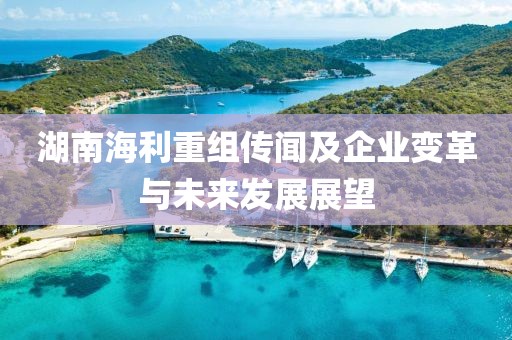 湖南海利重組傳聞及企業變革與未來發展展望