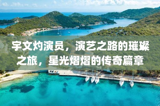 宇文灼演員，演藝之路的璀璨之旅，星光熠熠的傳奇篇章