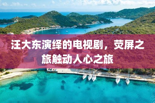 汪大東演繹的電視劇，熒屏之旅觸動人心之旅