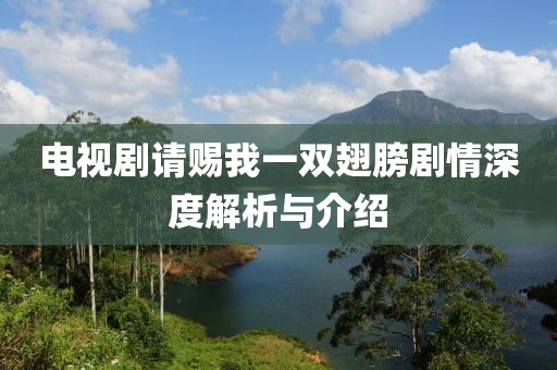 電視劇請賜我一雙翅膀劇情深度解析與介紹