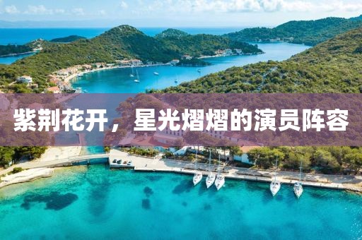 紫荊花開，星光熠熠的演員陣容