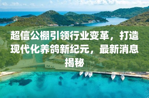 超信公棚引領行業變革，打造現代化養鴿新紀元，最新消息揭秘