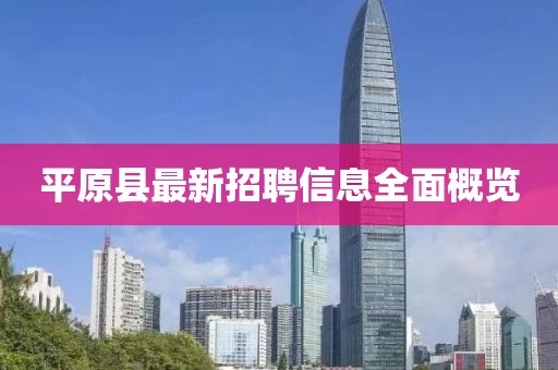 平原縣最新招聘信息全面概覽