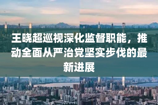 王曉超巡視深化監督職能，推動全面從嚴治黨堅實步伐的最新進展
