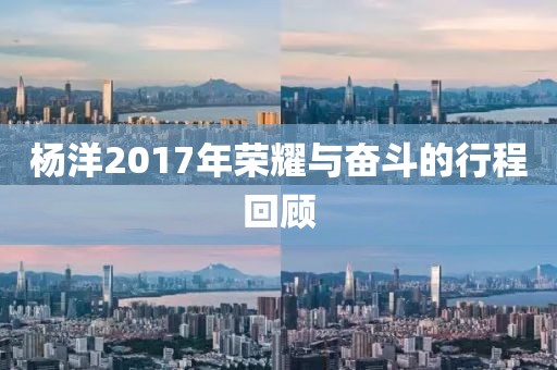 楊洋2017年榮耀與奮斗的行程回顧