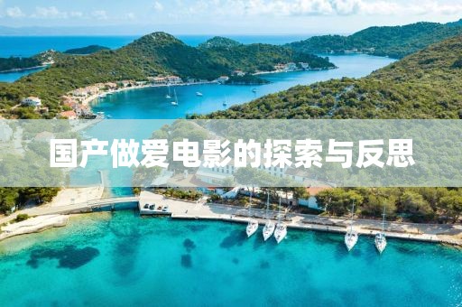 國產做愛電影的探索與反思