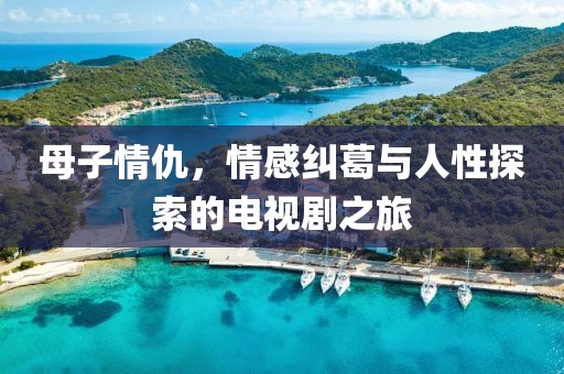 母子情仇，情感糾葛與人性探索的電視劇之旅