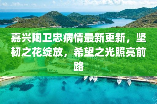 嘉興陶衛忠病情最新更新，堅韌之花綻放，希望之光照亮前路